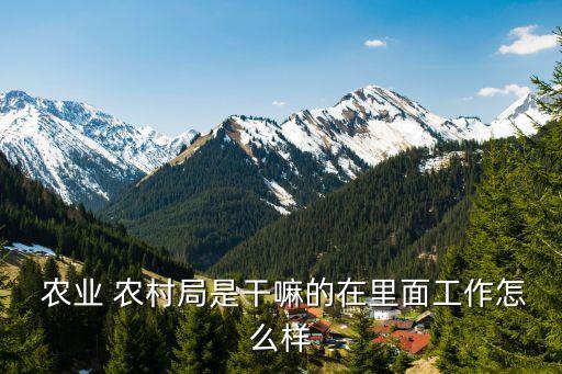 农业农村局就业怎么样