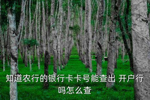 农业银行怎么知道开户网点,凤庆县农业银行开户网点查询