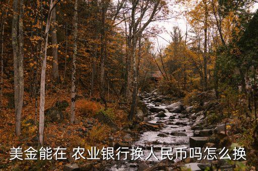 美金能在 农业银行换人民币吗怎么换