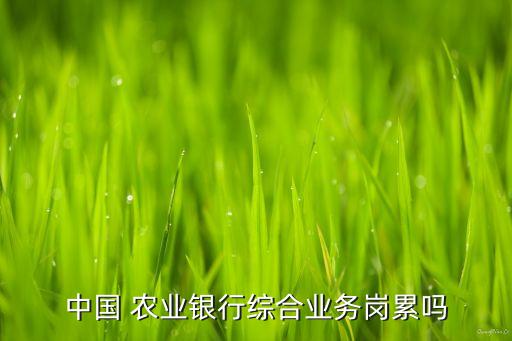 去农业银行上班怎么样,农业银行周日正常上班吗