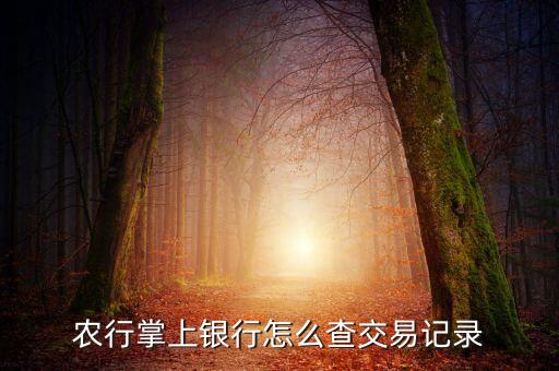 农业银行app怎么查看明细