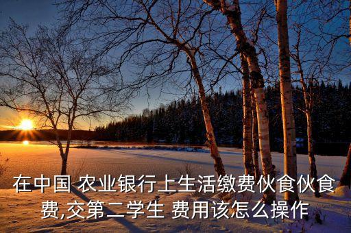农业银行怎么交学校的费用,手机农业银行怎么交学校伙食费