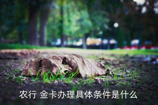 农业银行钻石金卡怎么办