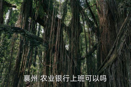 农业支行工资怎么样,农业技术服务中心工资怎么样
