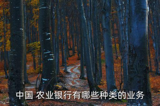 农业银行银行类别填写什么