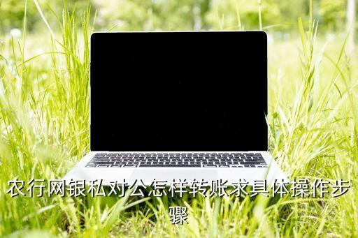 农业银行公账怎么转钱