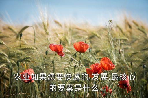 怎么对农业发展好,未来农业可能会有怎么发展