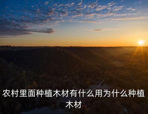 木头属于什么农业,锯木头问题属于什么问题