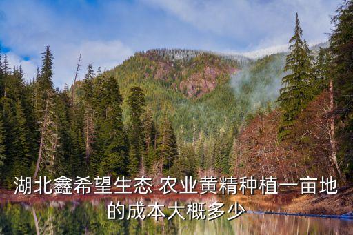 鑫筹农业怎么样,武汉市农业学校怎么样