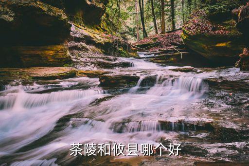 今年茶陵农业怎么样