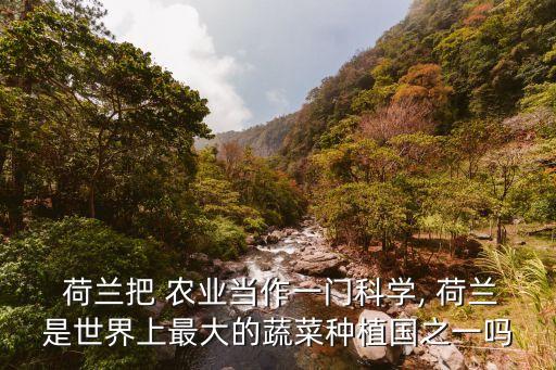 荷兰农业的成就是什么,17世纪荷兰绘画的主要成就是什么