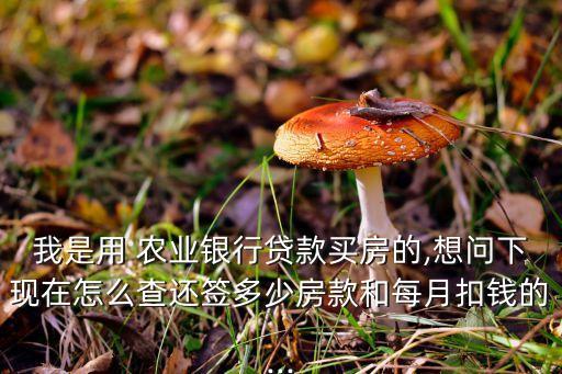 农业银行几号扣利息怎么查