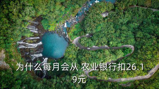 怎么查农业银行扣款原因,农业银行晚上10点了还没扣款