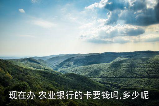农业银行卡办后有什么费用