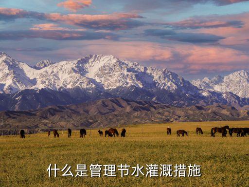 现代农业是怎么浇水的