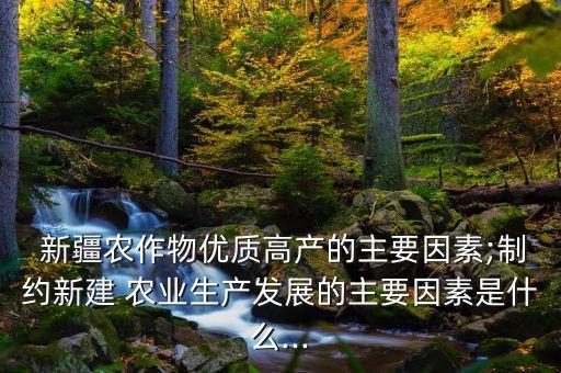 新疆农业类型为什么农业,新疆的农业特点是什么农业