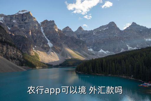 怎么在农业银行购外汇,农业银行接收外汇,需要什么手续