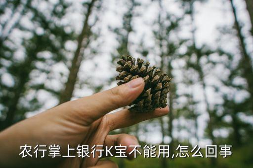 农业银行k宝怎么登录不了