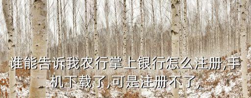 谁能告诉我农行掌上银行怎么注册,手机下载了,可是注册不了,