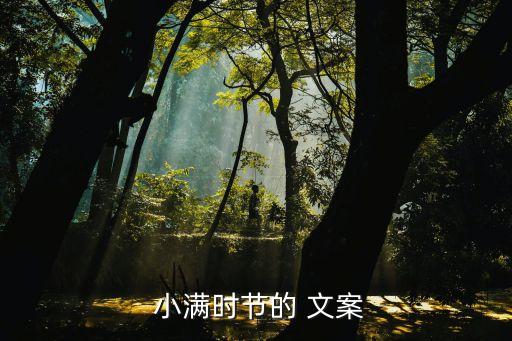 小满农业文案简短句子怎么写