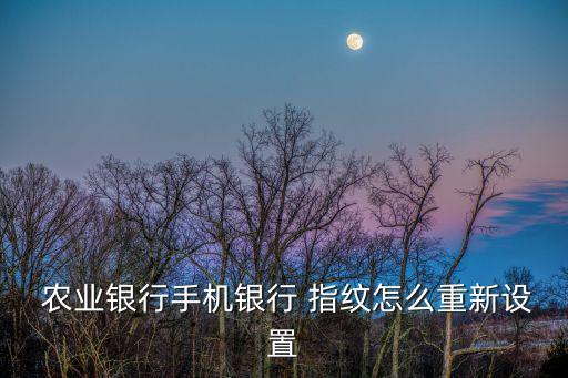 农业银行指纹怎么开通不了,手机农业银行怎么开通