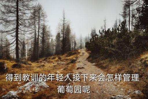 葡萄农业发展模式是什么,葡萄对农业发展的贡献有哪些