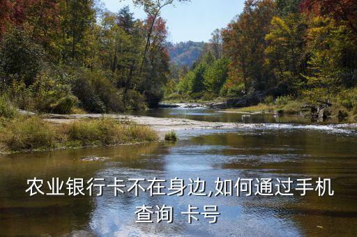 农业银行没带卡怎么查卡号