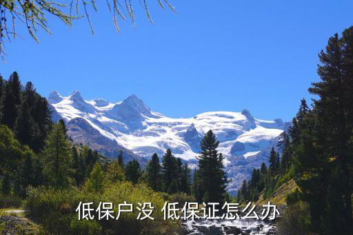 非农业低保户怎么补交