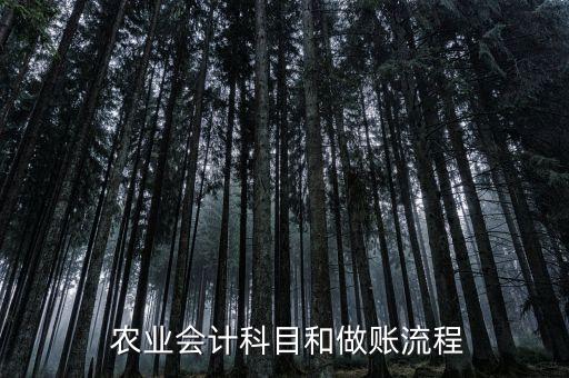 农业补助购买机械怎么入账