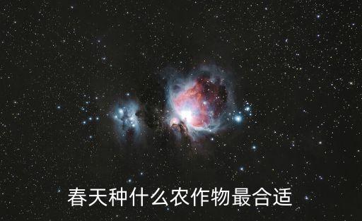 新农业种植什么品种好,什么是新农业种植