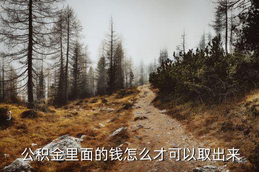 农业贷款怎么取公积金余额