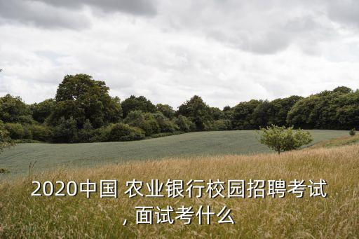 农业银行面试都是看什么
