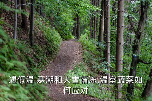 农业生产怎么防御寒潮的,寒潮有利于农业生产