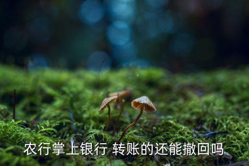 农业atm转账怎么撤销,农业银行卡ATM转账限额是多少
