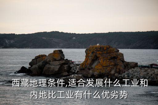 当前西藏农业现状怎么样,西藏经济现状怎么样