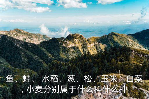 水稻小麦是什么农业类型,区分小麦和水稻的最简单方法是什么