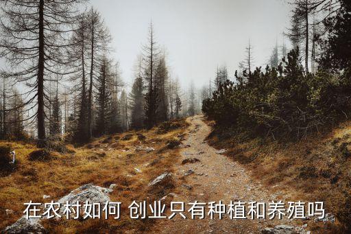 做农业怎么创业呢,适合大学生做的农业创业