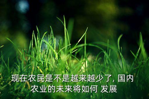国内怎么发展农业,国内农业发展成果有哪些