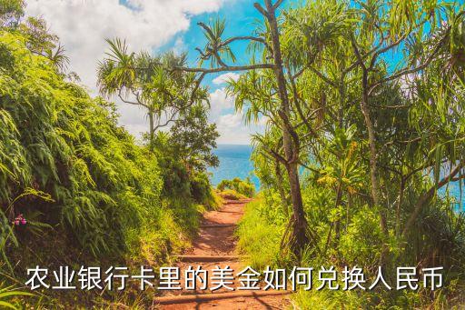 农业银行怎么操作结外汇呢
