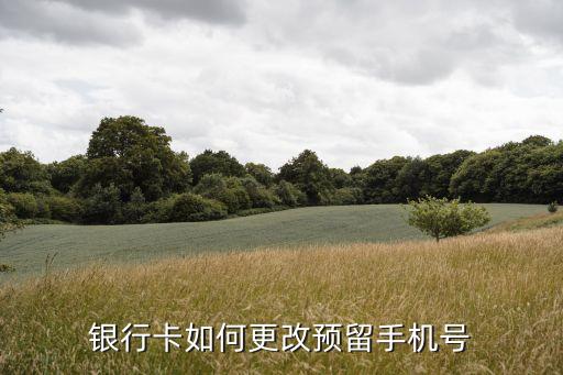农业银行怎么修改头像图片,怎么修改图片上的头像