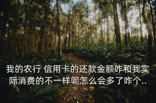 农业信用卡对账单怎么补,农业银行信用卡