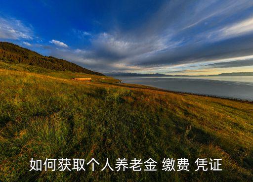 农业银行的缴费凭证怎么查