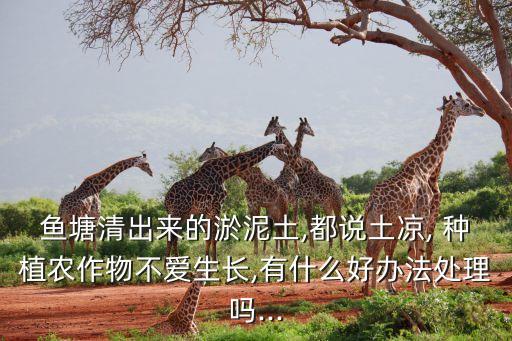 农业种植的土壤怎么办