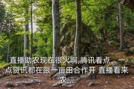 直播农业怎么定制,定制产品怎么玩直播