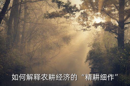 怎么做精做深农业