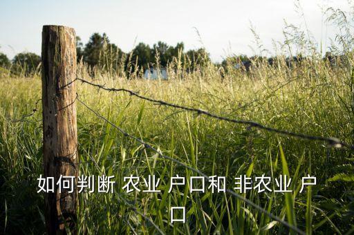 农业与非农业户口怎么算,天津市还有农业与非农业户口之说吗