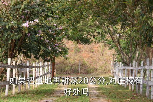 农业中深耕什么意思,深耕自己什么意思