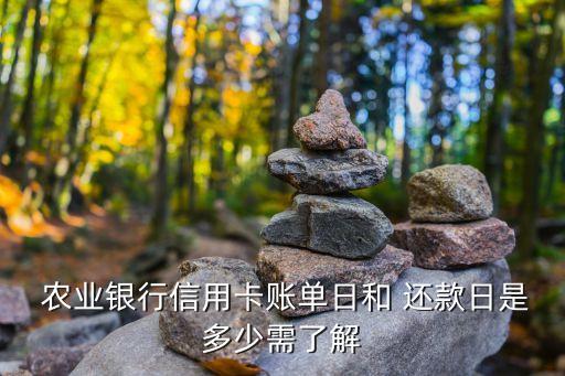 农业银行还款日怎么查
