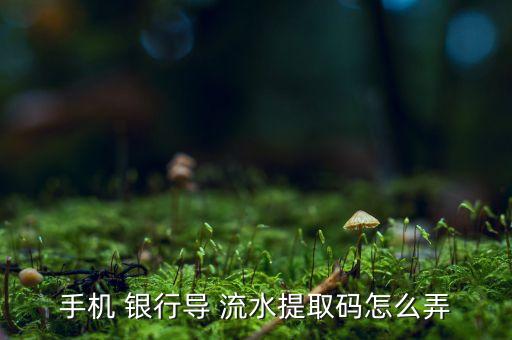 手机 银行导 流水提取码怎么弄