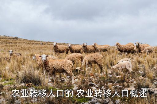 农业历史迁移文章怎么写